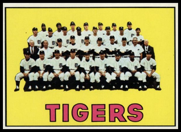 378 Tigers Team